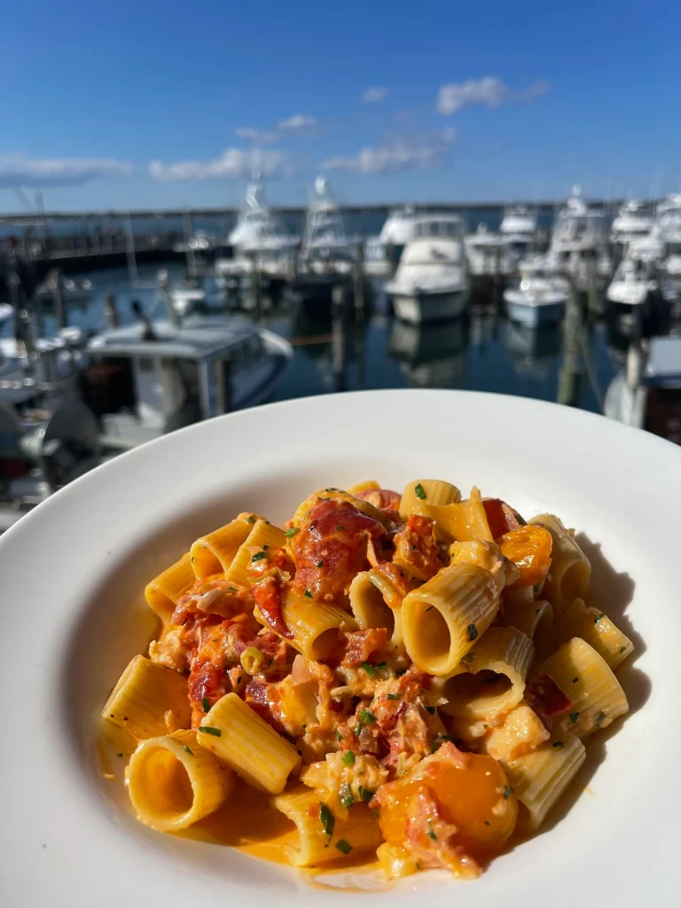 A plate of rigatoni pasta with lobster and tomatoes, set against a marina with boats.