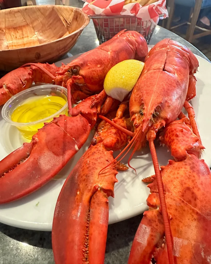 Cooked lobster on a white plate with a lemon and a container of melted butter.